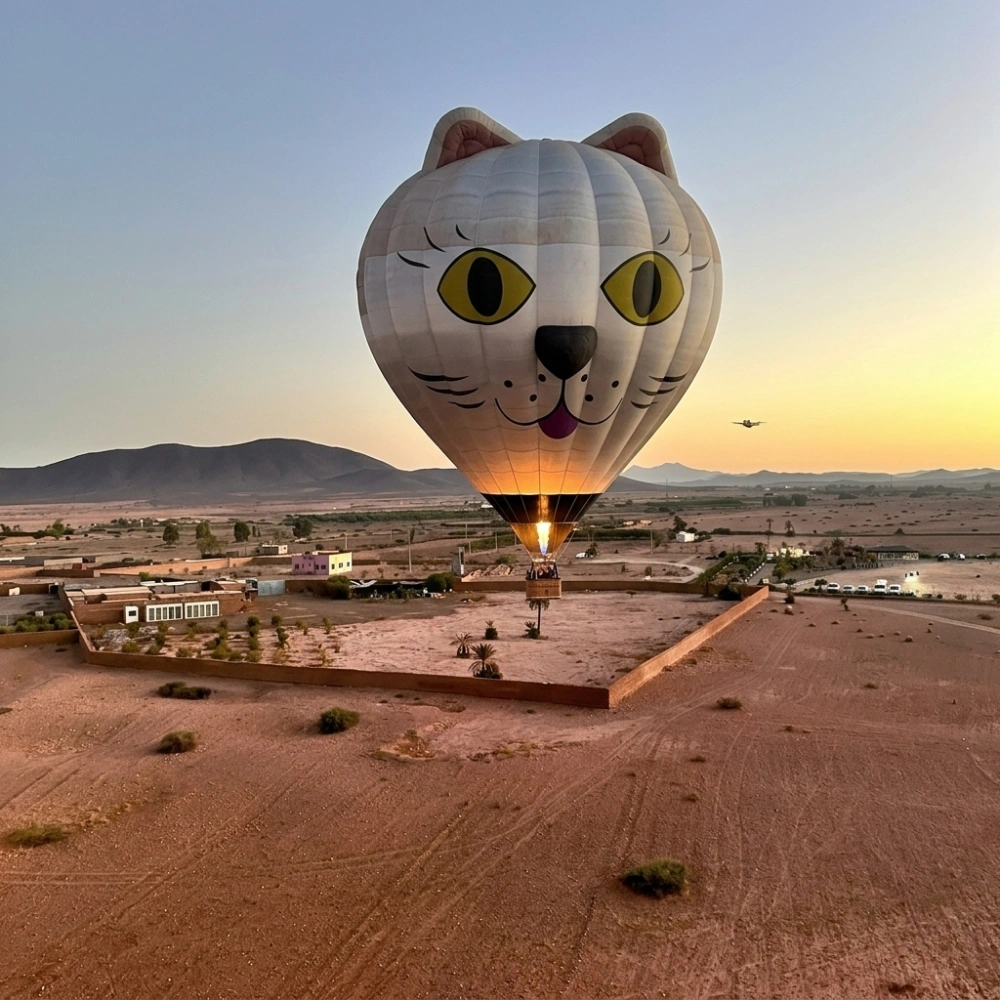 VIP Hot Air Balloon Ride – Private Balloon